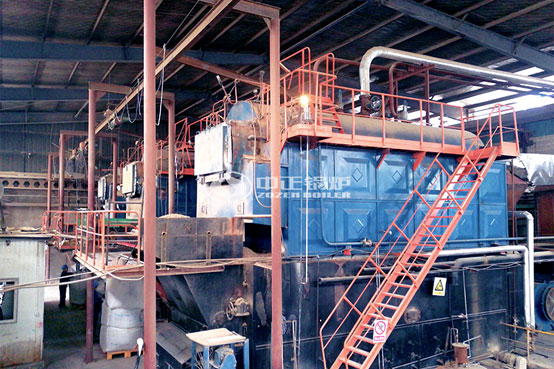 10噸DZL生物質鍋爐項目